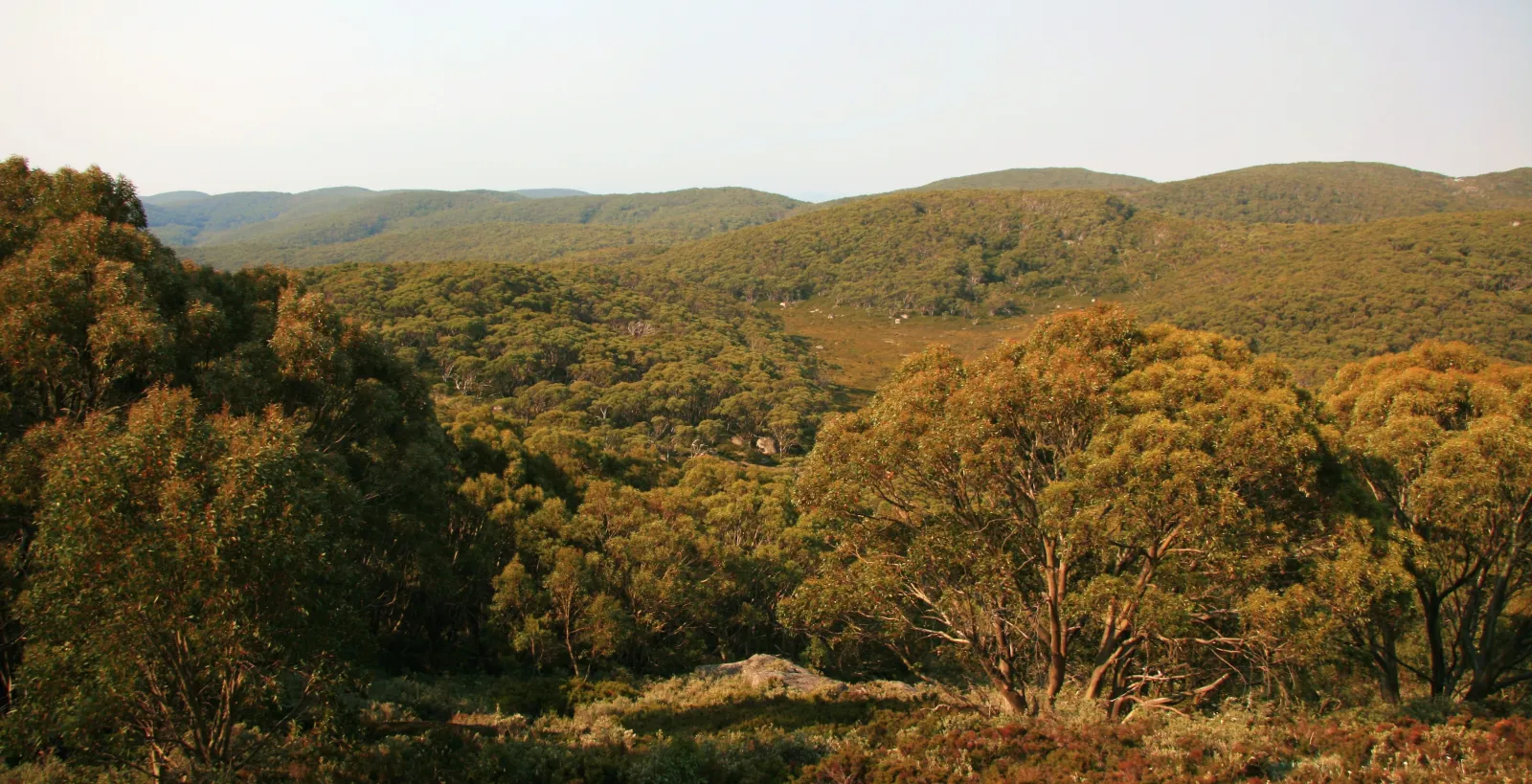 Baw Baw National Park, Australia © Mick Stanic