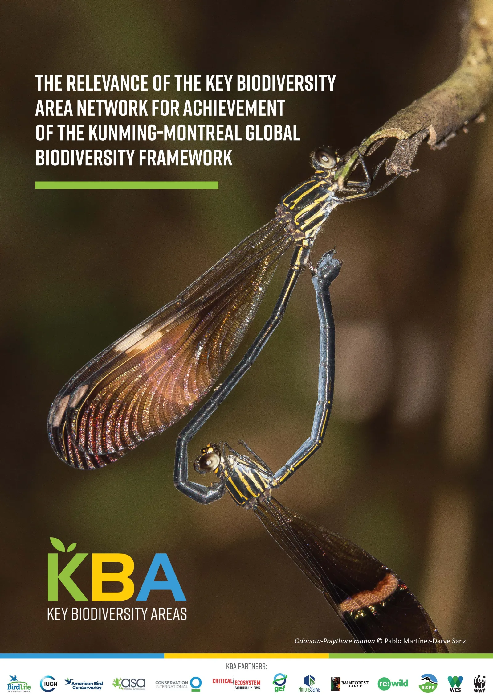 GBF targets and KBAs final cover