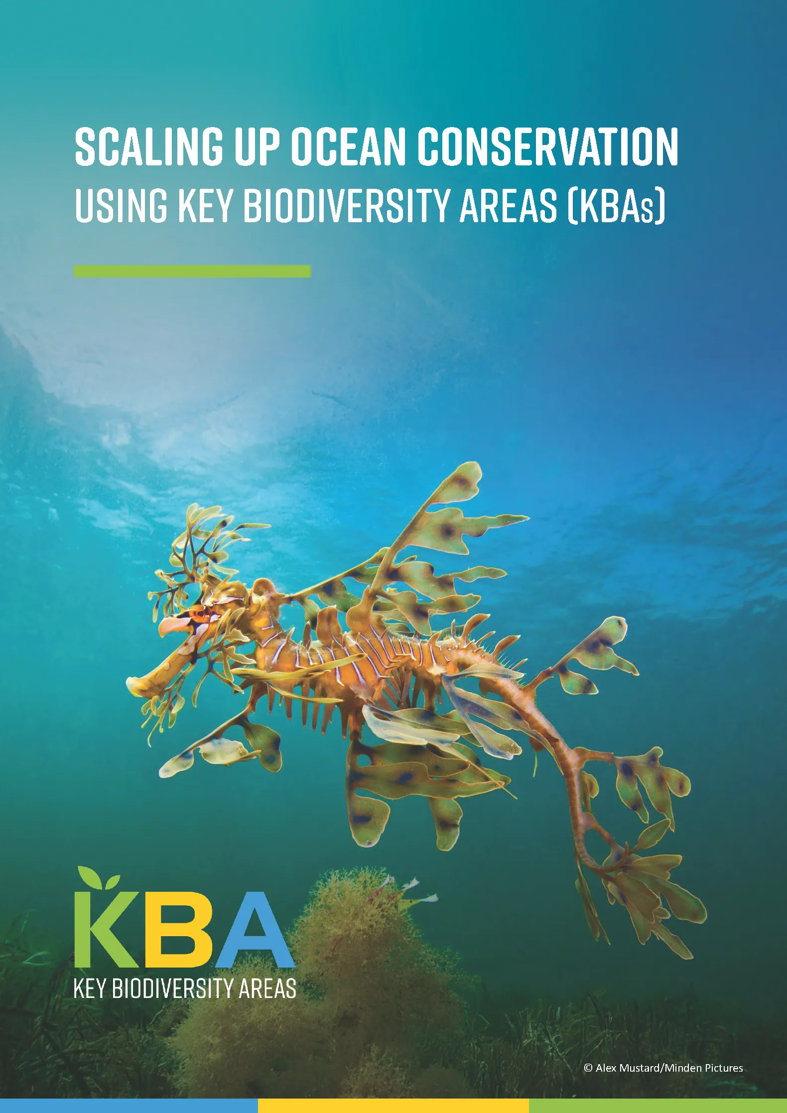 Marine KBAs Policy Brief cover