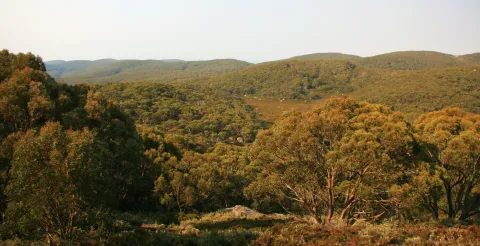 Baw Baw National Park, Australia © Mick Stanic