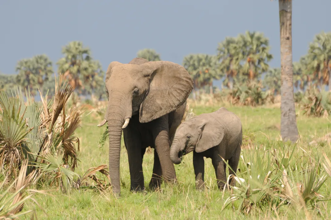 Capacity Building & Training